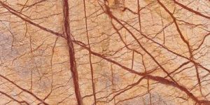 Indian Rainforest Gold Marble Stone