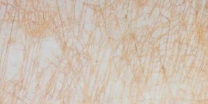 Imported Spider White Marble Stone