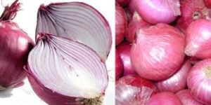 Fresh Onion
