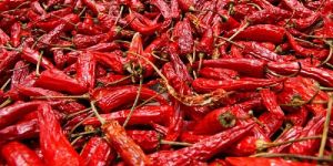 Dried Red Chilli