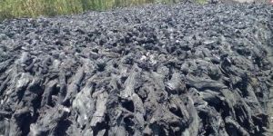 Root Charcoal