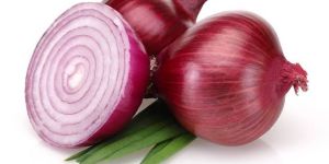 Onion