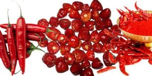 Red Chilli Powder