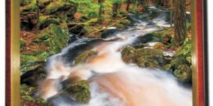 Wooden Serving Trays