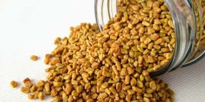 Fenugreek Seeds