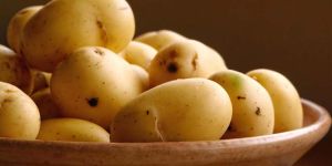 Potato