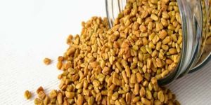 Fenugreek Seeds