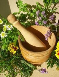 Herbal Veterinary Medicine