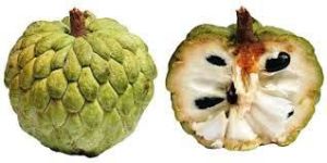 Fresh Custard Apple
