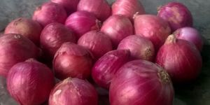 Fresh Red Onion
