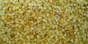 Chilli Seeds