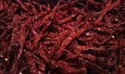 Dry Red Chilli