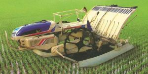 Rice Transplanter