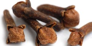 Clove