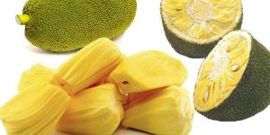 Fresh Jack Fruit