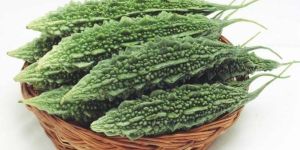 Fresh Bitter Gourd