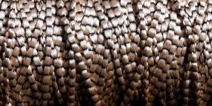 Black Common Small Damru Dori