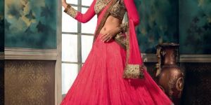 Chiffon Lehenga Choli