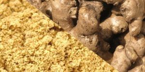 Dehydrated Ginger
