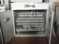 Poultry Incubators