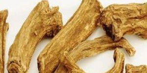 Costus Root