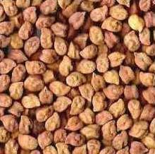 Black Chickpeas