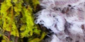 Woven Cotton Cloth Waste