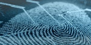 Security Audits & Consultancy