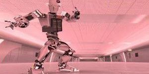Robust Business Systems