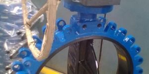 Lug Type Butterfly Valve