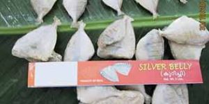 Frozen Silver Belly Fish