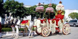 Wedding Baggi Services