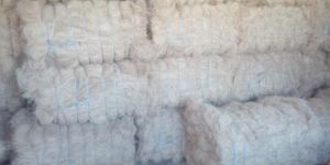 Coir Fibre