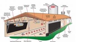 Poultry Farm Construction Services
