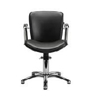 Salon Chair