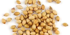 Coriander Seeds