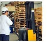 Fumigation Treatment