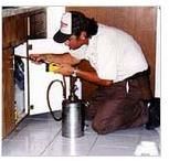 Insect Control Services