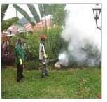Mosquito Control Services