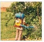 Pre Construction Anti Termite Treatment