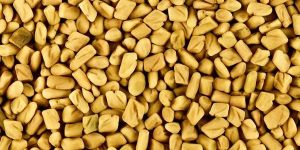 Fenugreek Seeds