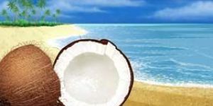 Fresh Coconut