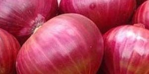 Fresh Onion