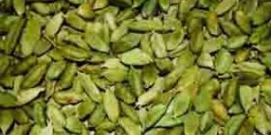 Green Cardamom