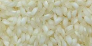 Non Basmati Rice
