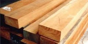 Babool Wooden Logs