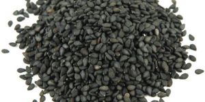 Black Sesame Seed