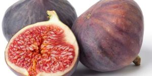 Fresh Fig