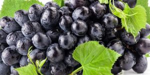 Fresh Grapes