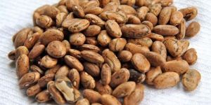 Speckled Kidney Beans